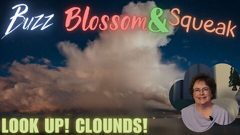 Look Up! Clouds!