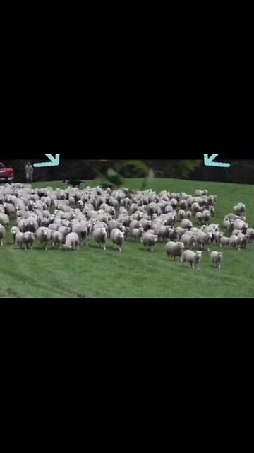 Do you remember when this happened?