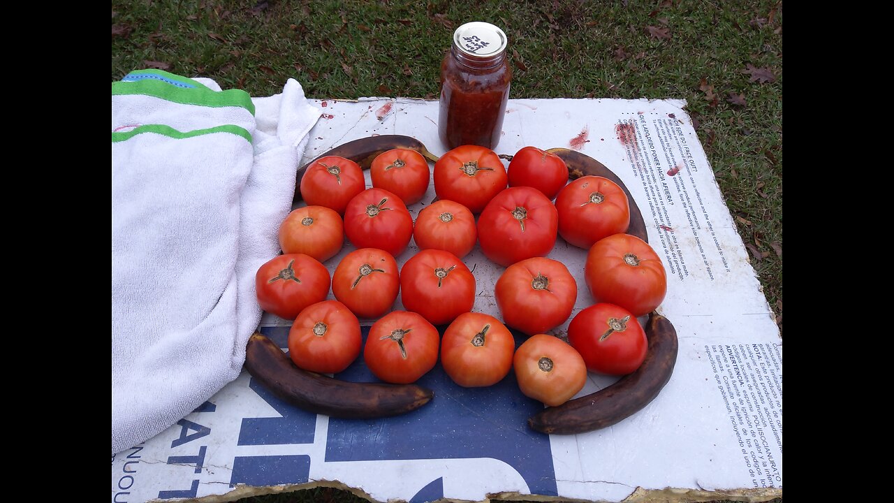 Banana Trick Works 12/5/25