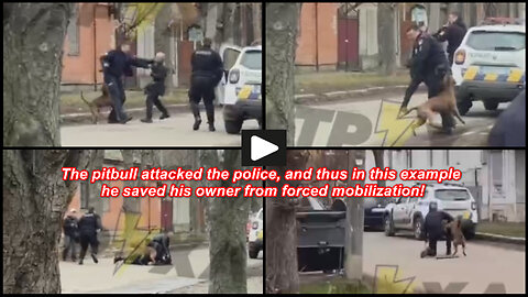 Poltava: Chronicles of forced mobilization in Ukraine