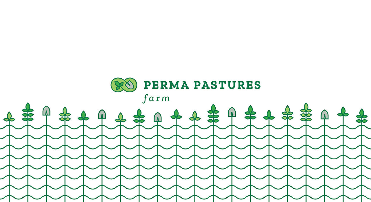 Ep. 356 - Why Prepping Without Permaculture Is A Dead End!