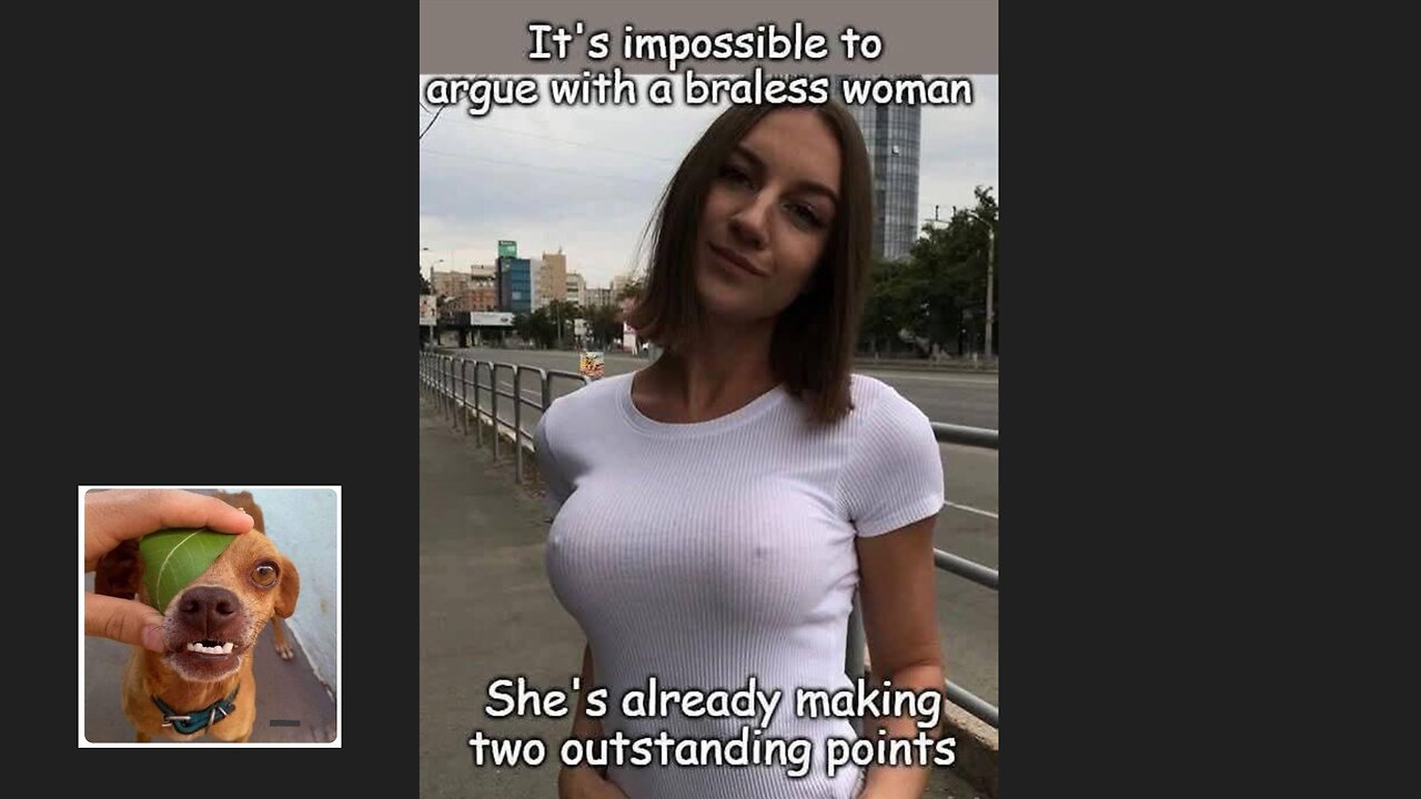 Memes That Will 99.0159% Make You Laugh. (e383)