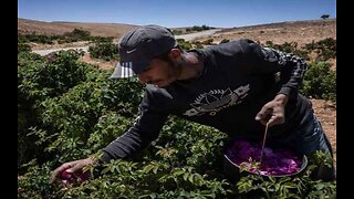 WH Offers New Visa Program for Migrant Workers