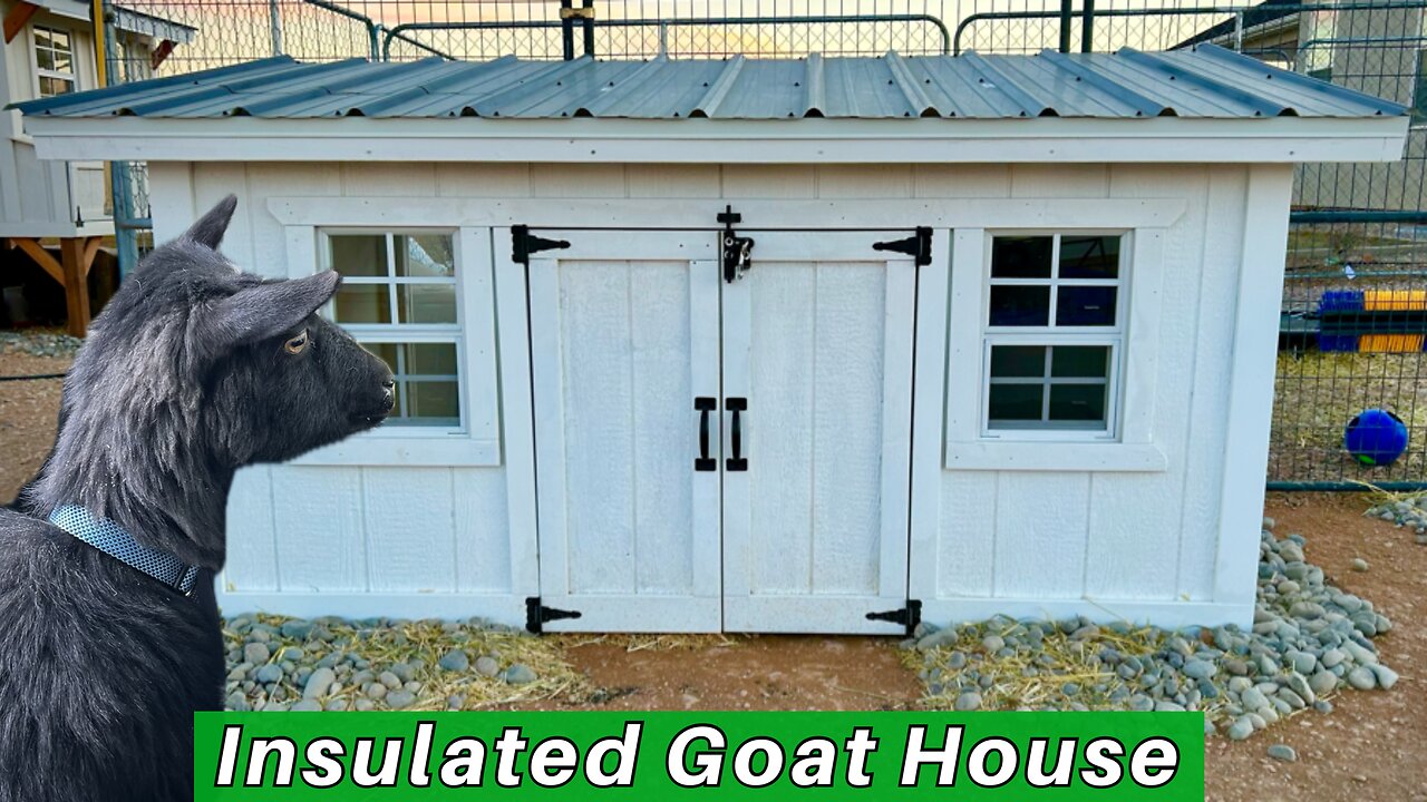 Making a Goat House (From a Pallet)