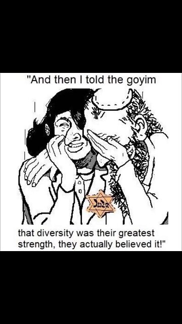 Enjoy a normal afternoon at Wally World 🤣🤣🤣