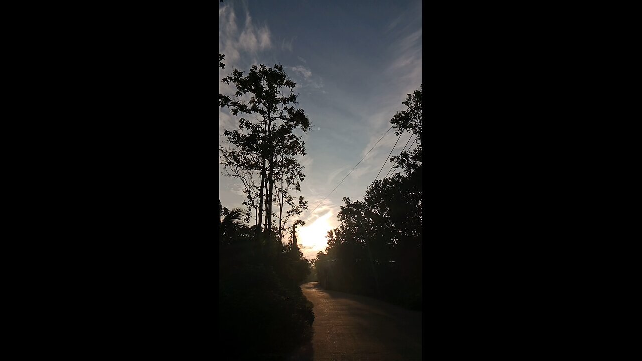 day 17