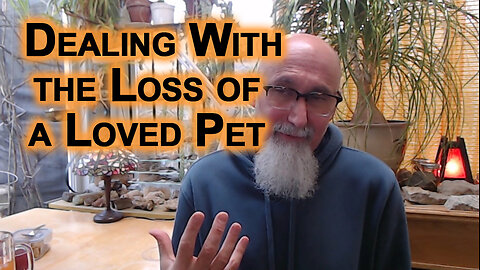 Advice on Dealing With the Loss of a Loved Pet, in This Case, a Kitty Cat at a Young Age [SEE LINKS]