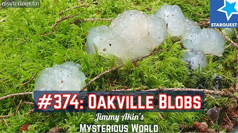 The Oakville Blobs - Jimmy Akin's Mysterious World