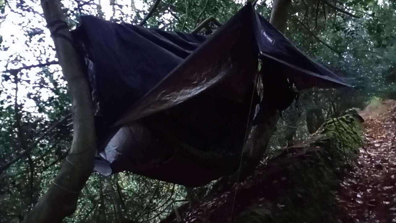 08, evening re arrange, previous video not available