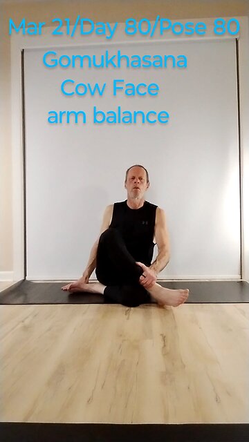 Gomukhasana / Cow Face arm balance