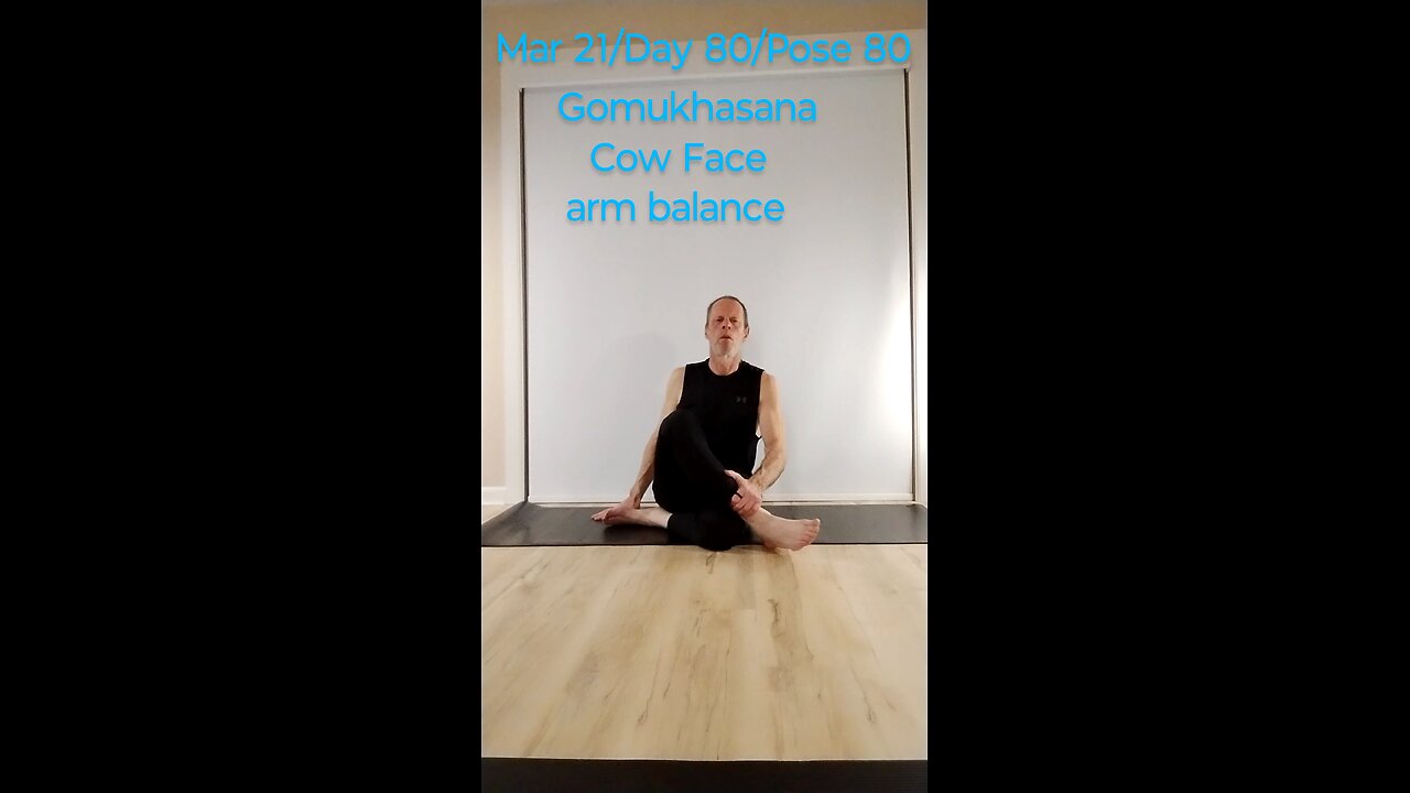 Gomukhasana / Cow Face arm balance