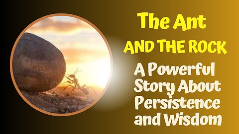 The Ant and the Rock – A Powerful Story About Persistence and Wisdom