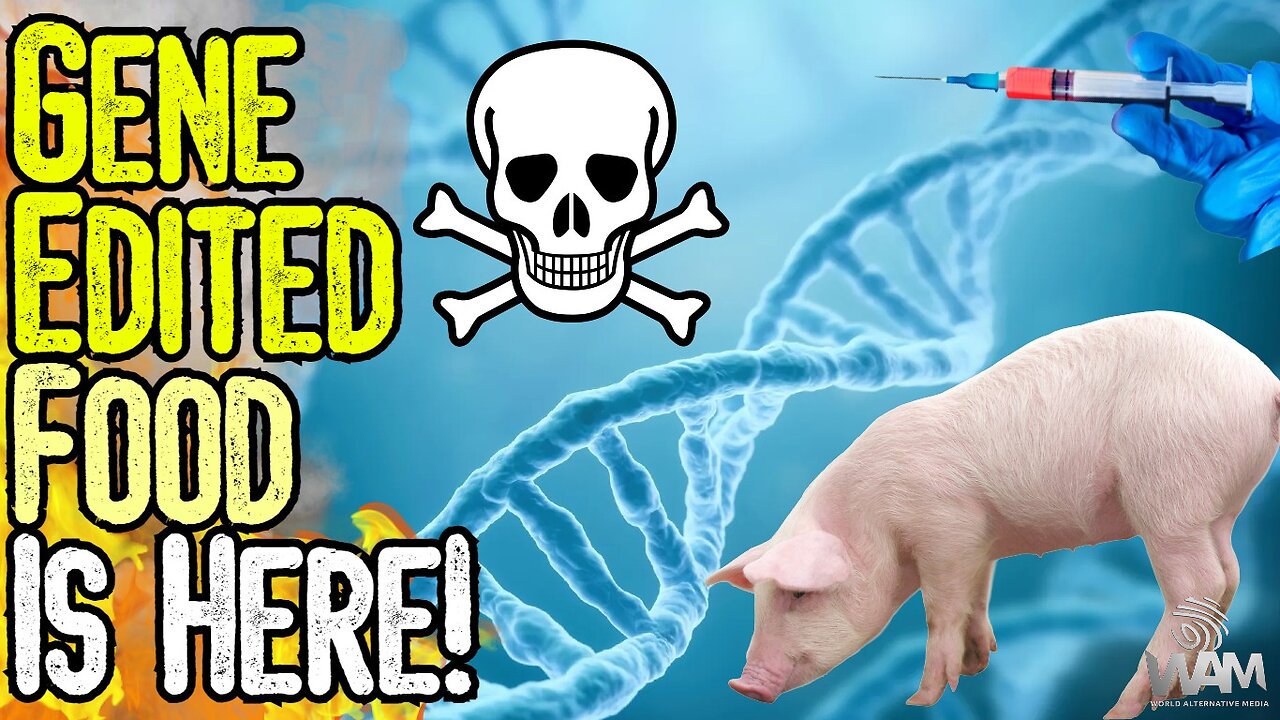GENE EDITED FOOD IS HERE! - FDA Approves Zombie Pork As Supply Chain Collapses & AI Takes Over!