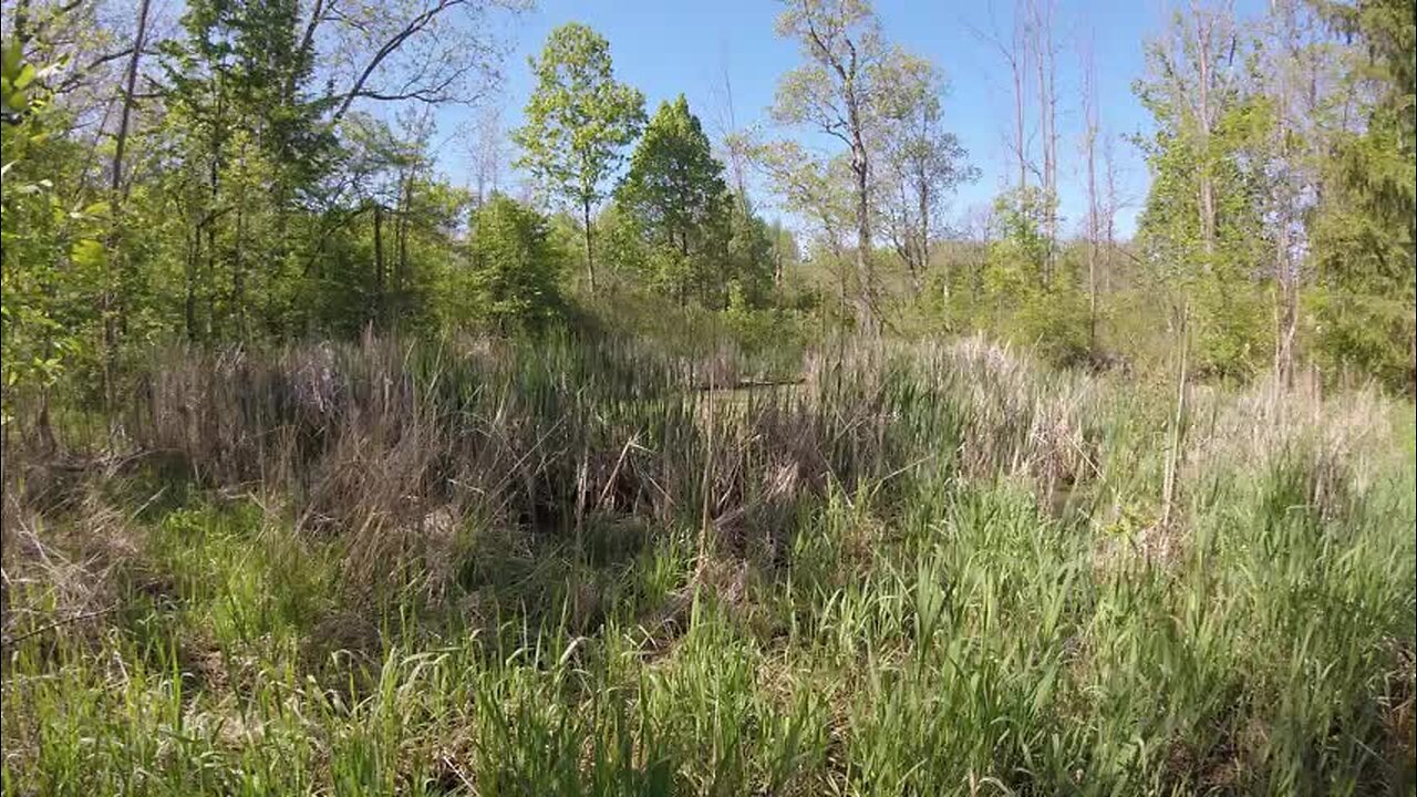 Kodiak Test Video