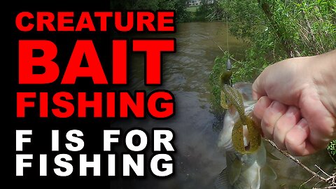 Creature Bait Fishing