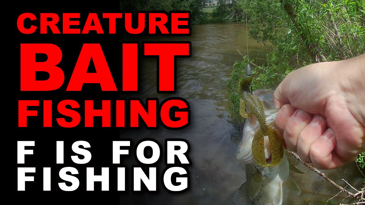 Creature Bait Fishing