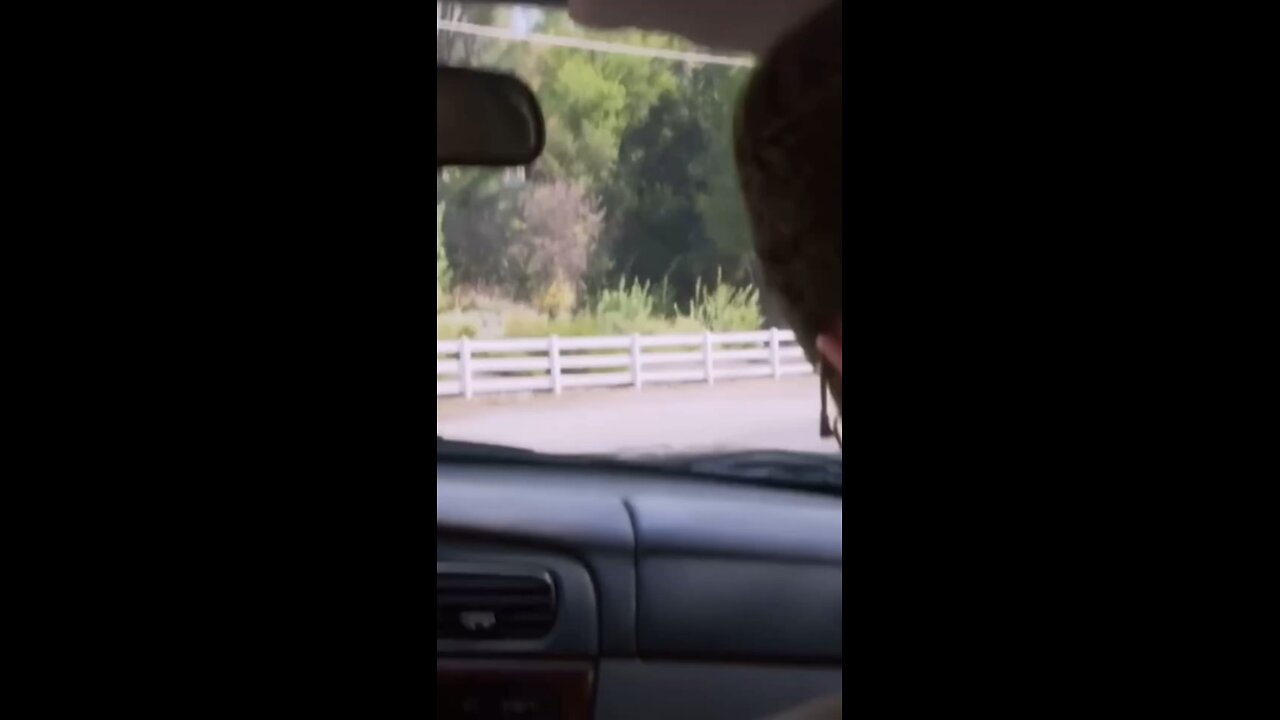 Elon is driving us crazy.