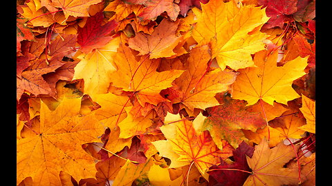 The Seasons of Life 2025