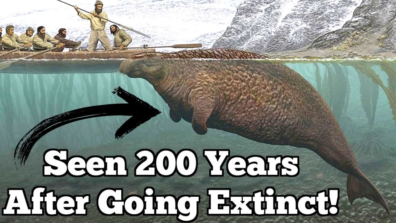 The Last Confirmed Sightings of Four Extinct Animals