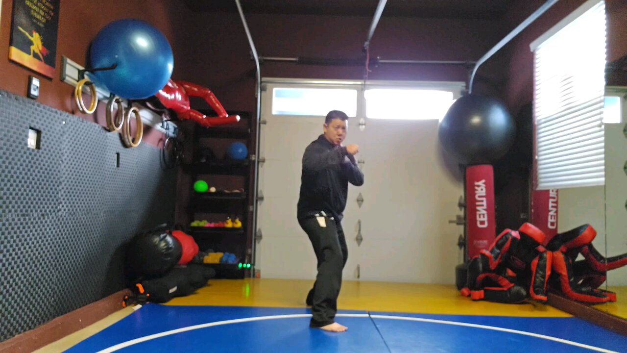 WTD 2 Step Kick Combination 71