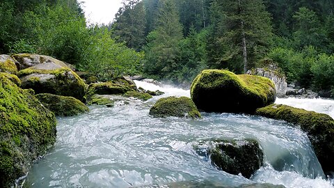 Video of a Flowing River