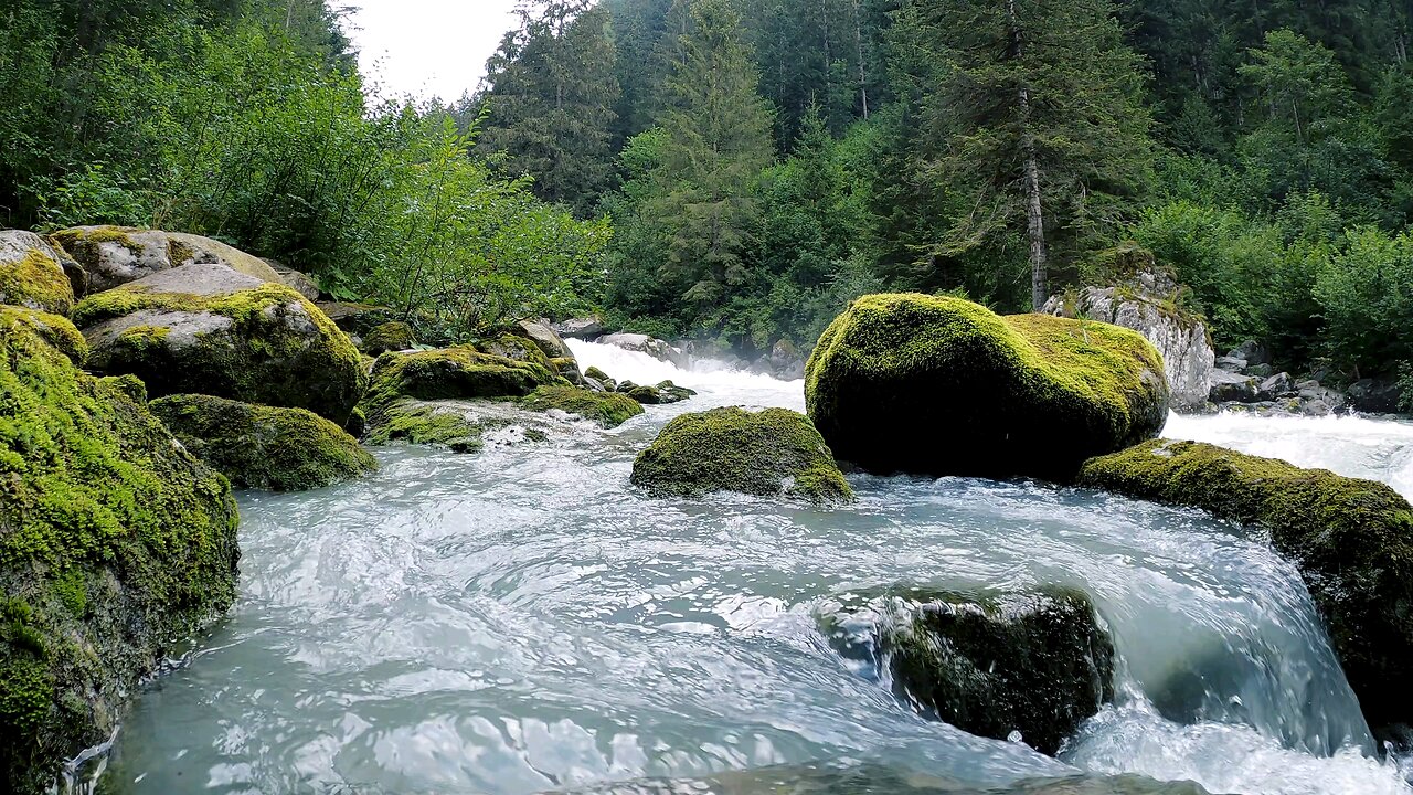 Video of a Flowing River