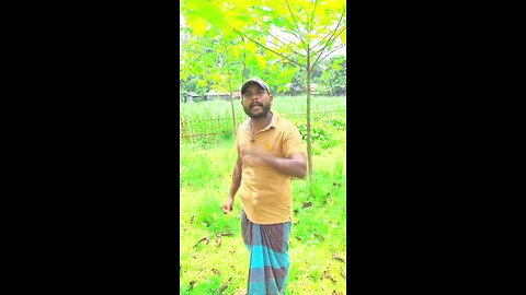 "বেকার তরুণের কান্না – দেশের ব্যথা"