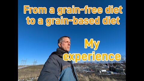 From a grain-free diet to a grain-based diet. My experience.