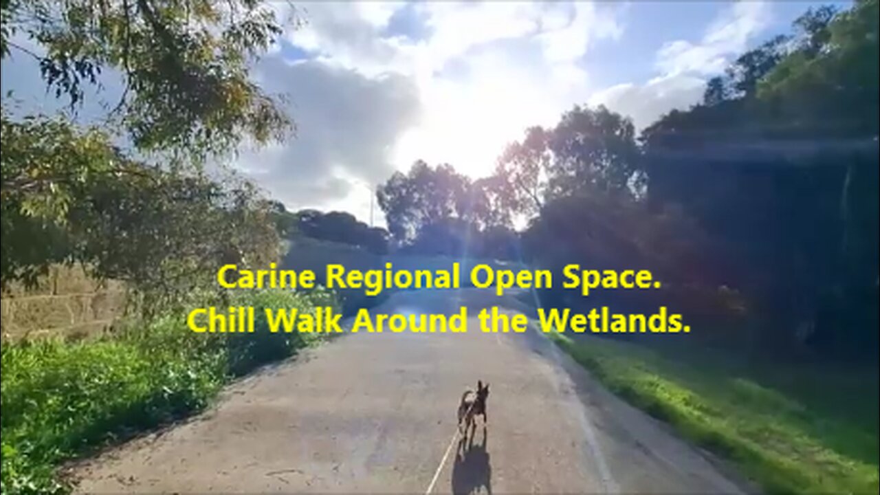 🌿Carine Regional Open Space. Chill Walk Around the Wetlands. Perth, Australia.