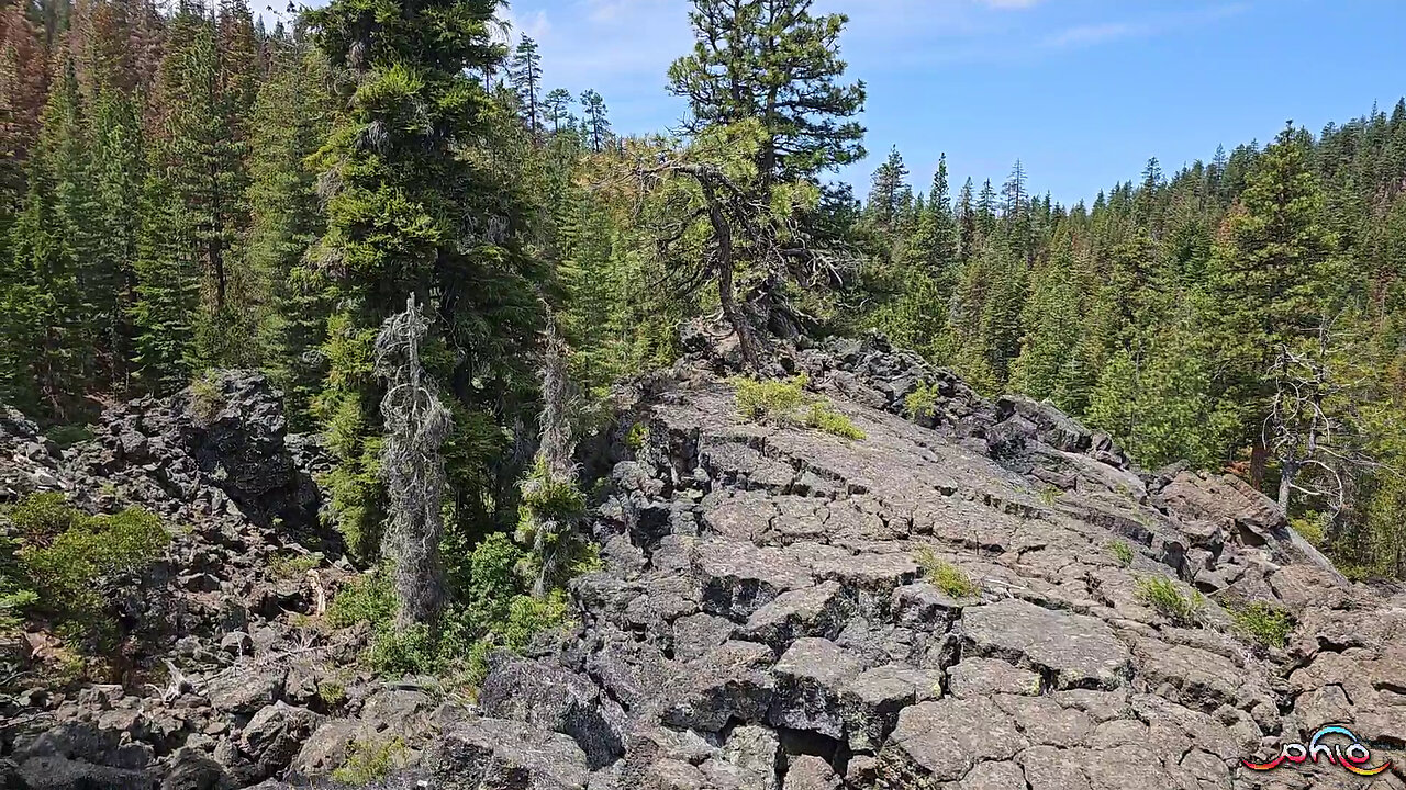 Lava PhLo 7
