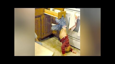 Best FUNNY VIDEOS - Can you HANDLE THIS MUCH FUNNINESS?