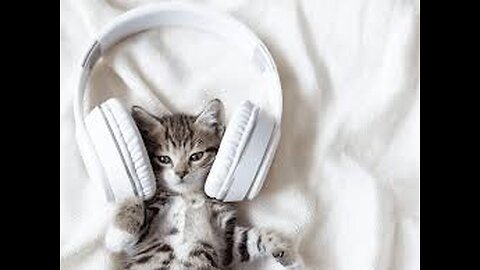Cats are not our whole lives, but they make our lives whole.