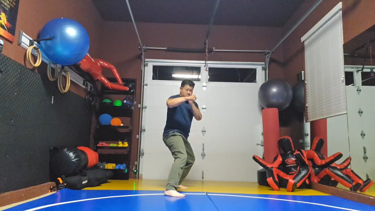 WTD 2 Step Kick Combination 157
