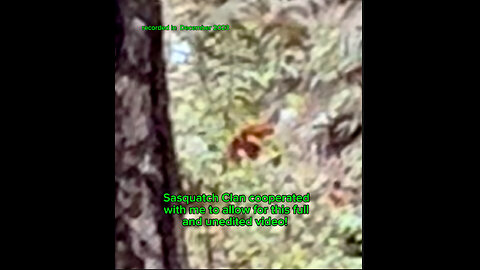 Sasquatch Clan allows me to record this full and unedited video of them! December 2023