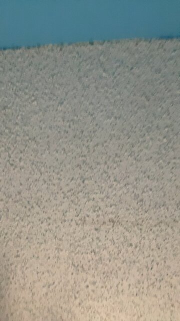 Popcorn ceiling get it?