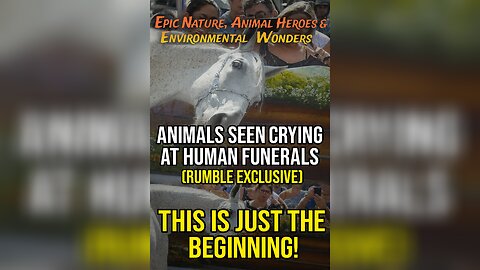 Animals Seen Crying at Human Funerals (Rumble Exclusive) 