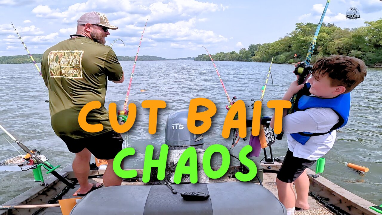 Does Dragging Cut Bait Spark a Cumberland River Catfish Frenzy? | September 2025