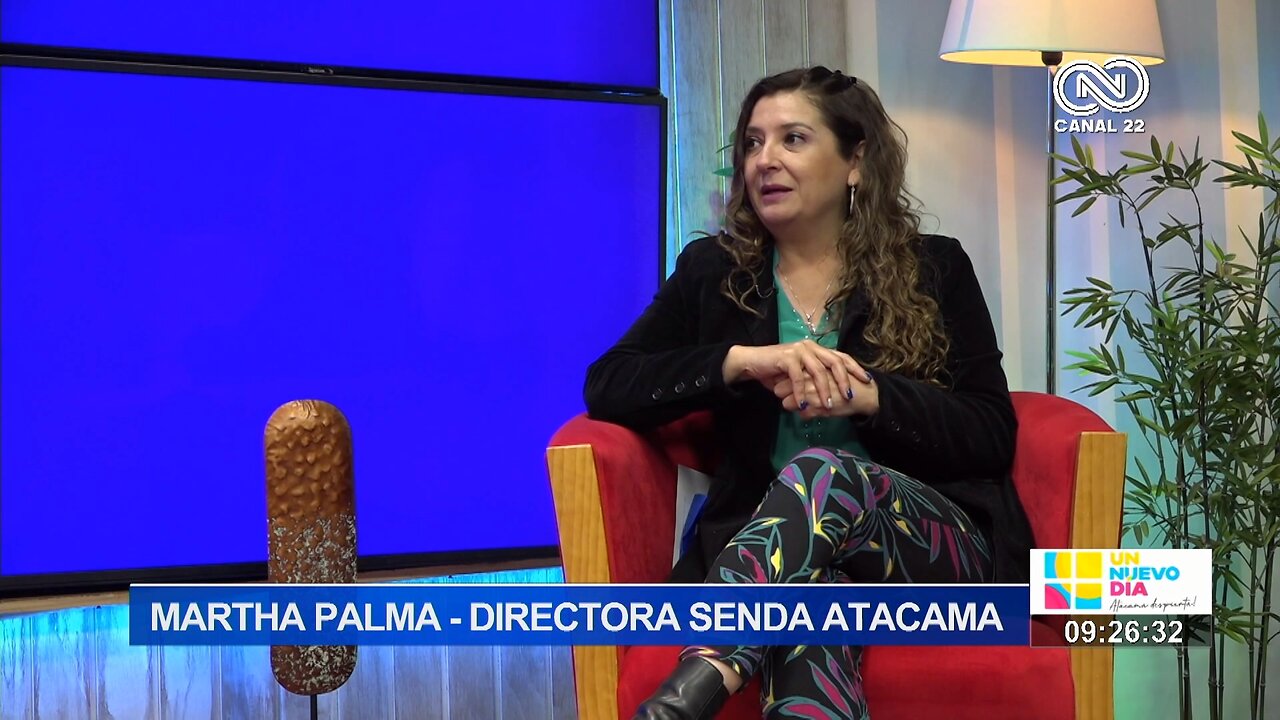 Martha Palma Directora Senda Atacama efectos de el alcohol y la droga en la conducción