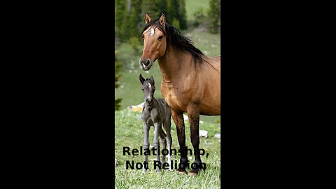 Elsa 🪭🧸 547 ~ Relationship, Not Religion