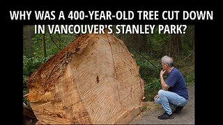 WHY WAS A 400-YEAR-OLD TREE CUT DOWN IN VANCOUVER'S STANLEY PARK?
