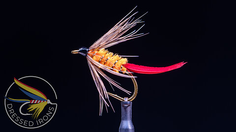 Tying the Grouse Spider Wet Fly- Dressed Irons