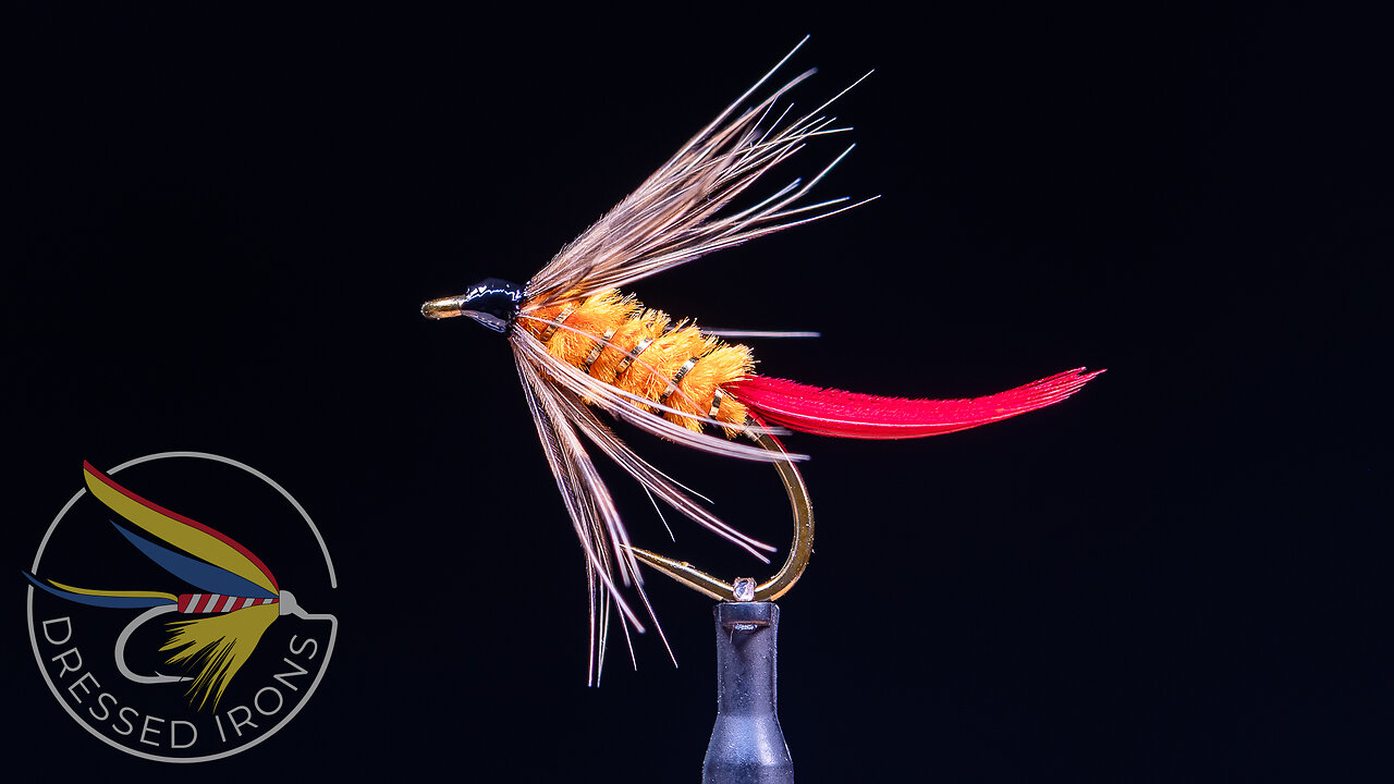 Tying the Grouse Spider Wet Fly- Dressed Irons