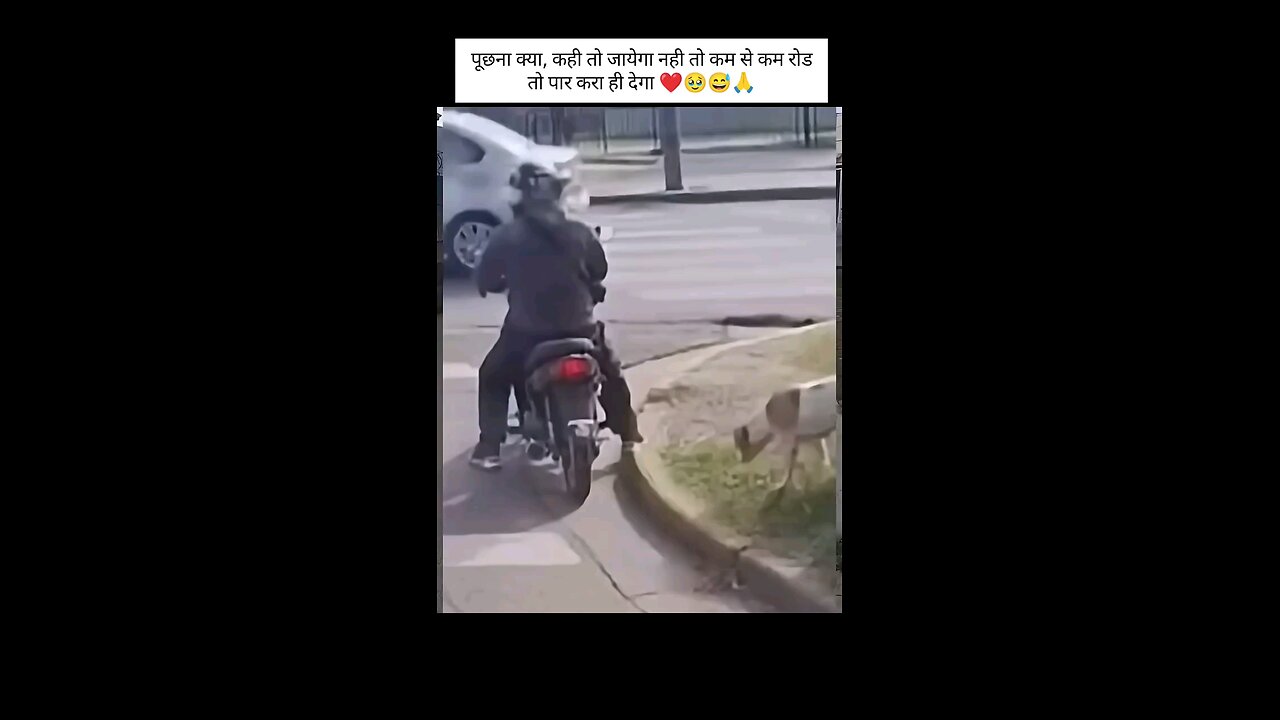 सड़क पार करा देगे