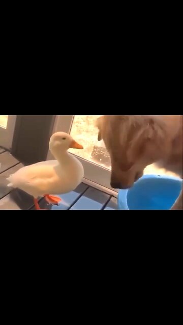 THE TRUTH ABOUT SALVATION - DAILY DEVOTIONAL ❤️