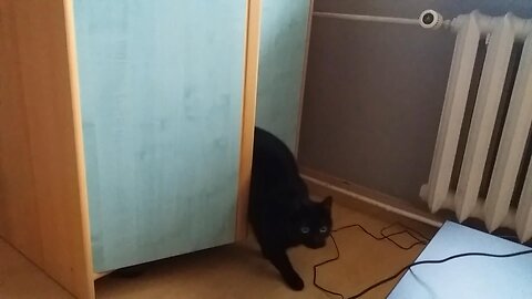 Coś jest w mojej szafie