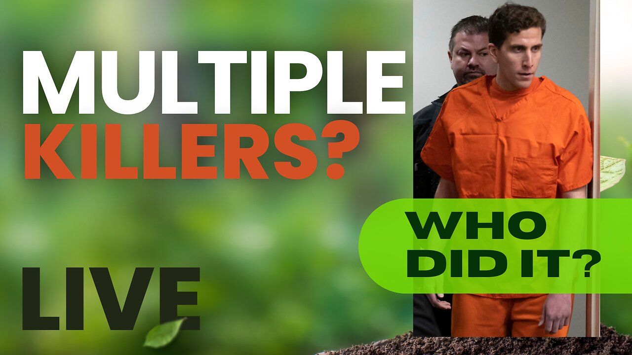 When Internet Lawyers Drink Too Much | LIVESTREAM