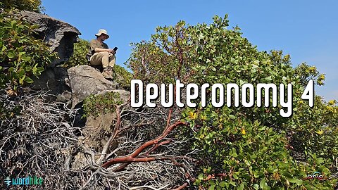 Deuteronomy 4, Bible Reading in Nature, BSB