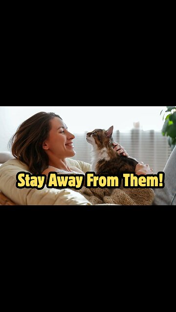 Cat Girls Are The WORST