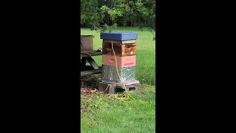 4 queen stack update after breaking in up!