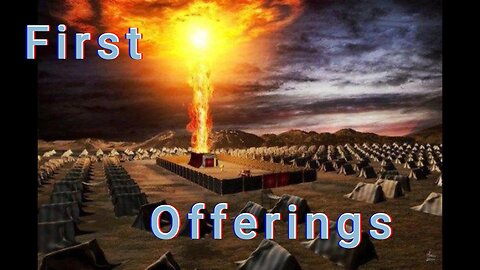 The First Offerings: A Bible Story of Glory (Leviticus 9)